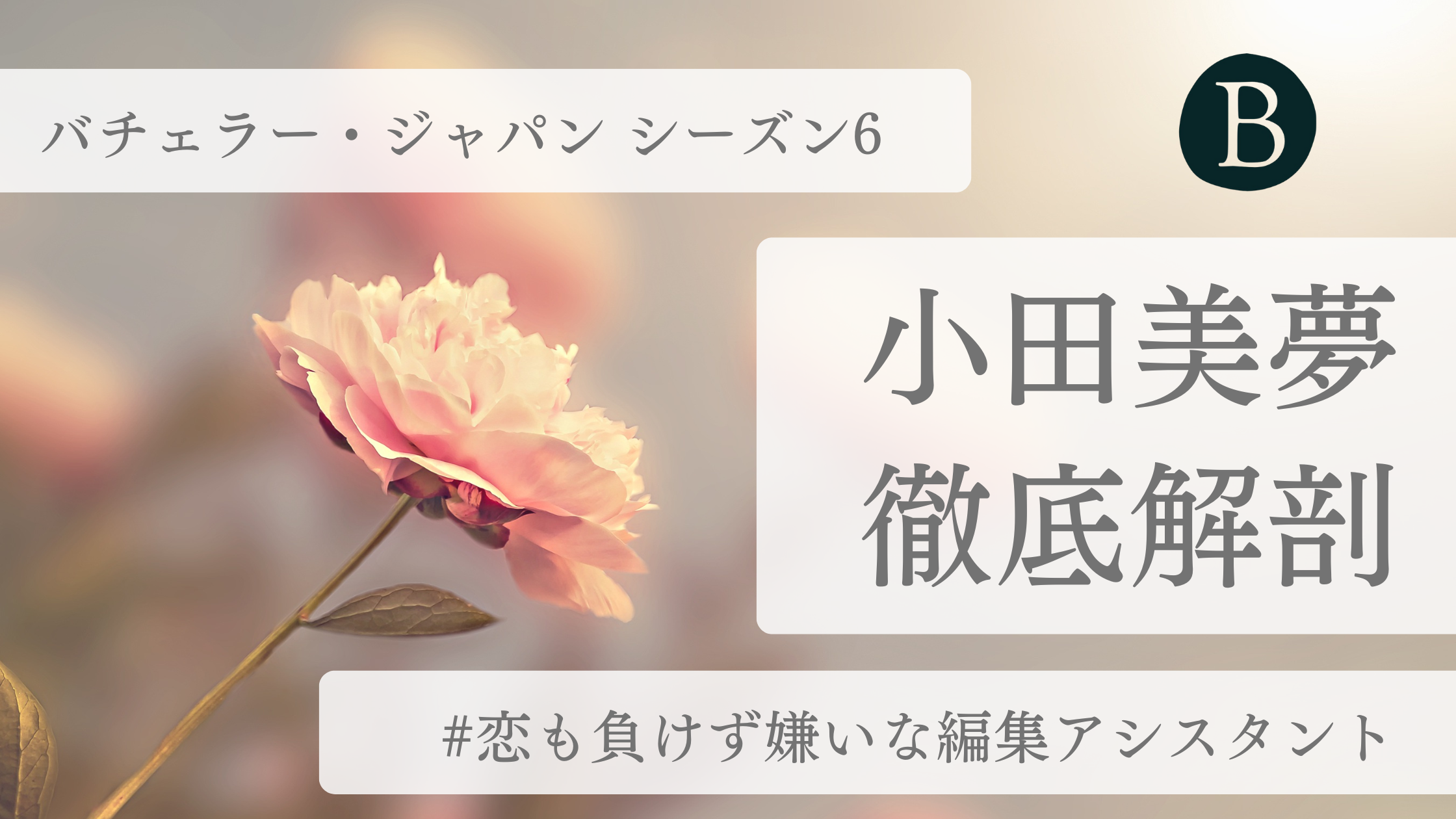 小田美夢アイキャッチ