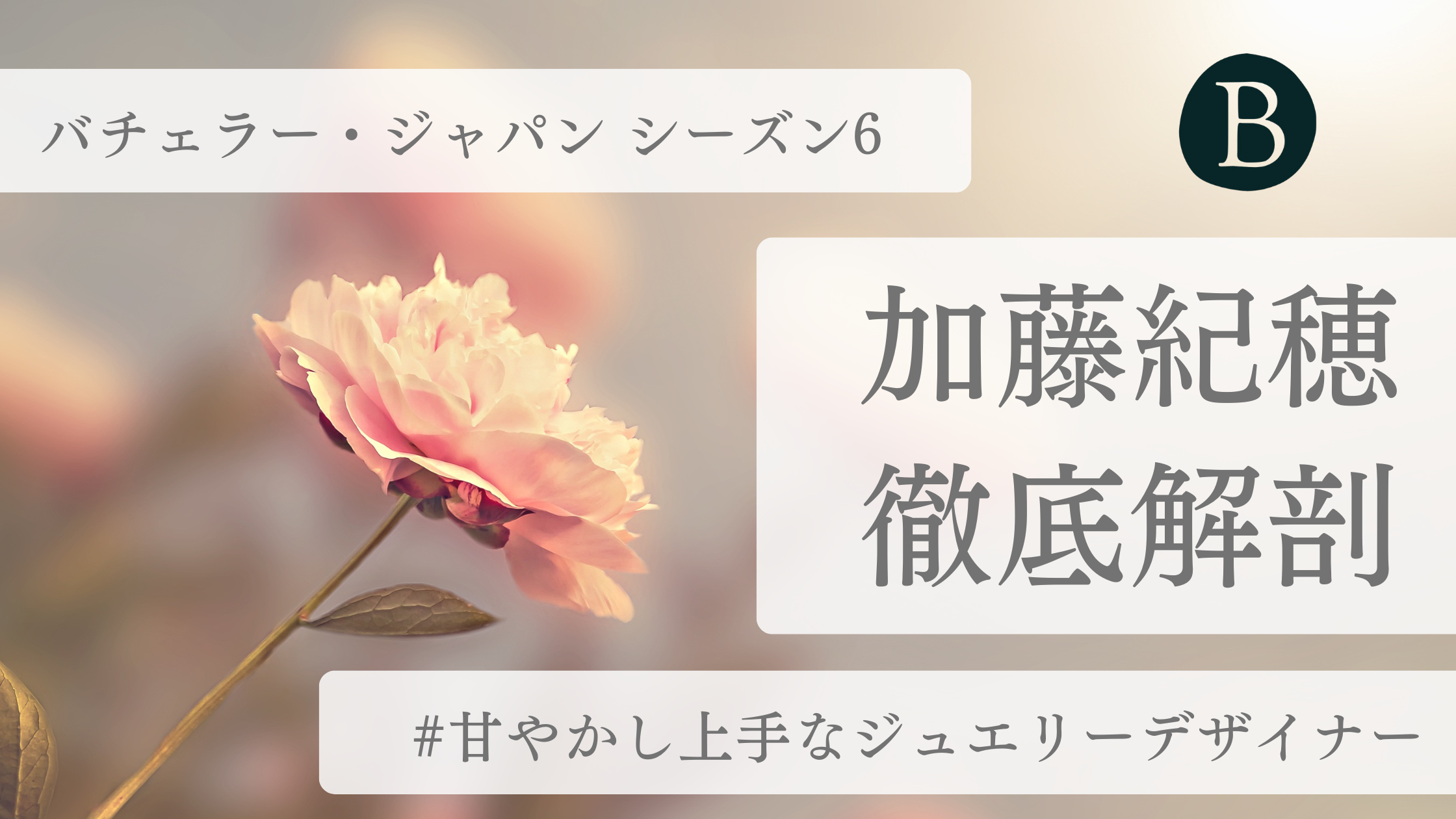 加藤紀穂アイキャッチ